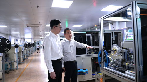 三度服務(wù)賦能溫州科技企業(yè) 信息技術(shù)咨詢的精準(zhǔn)助力